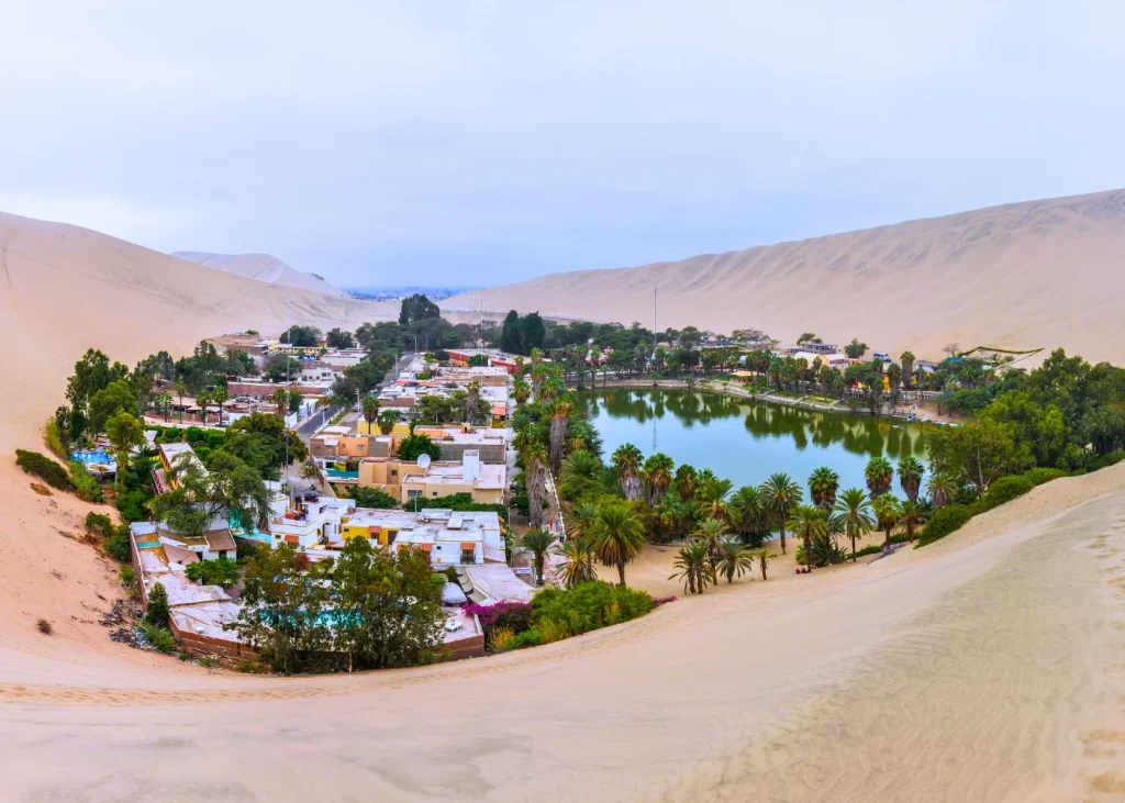 Ica: Paracas + Ilhas Ballestas + Huacachina