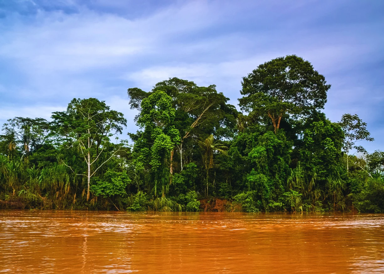 Sandoval Lake Program: 3 Days – 2 Nights (Tambopata)